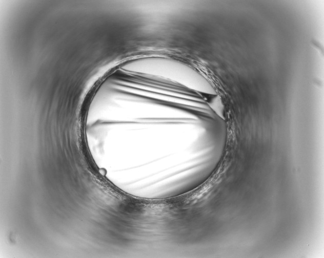 X0000093160342200710241024