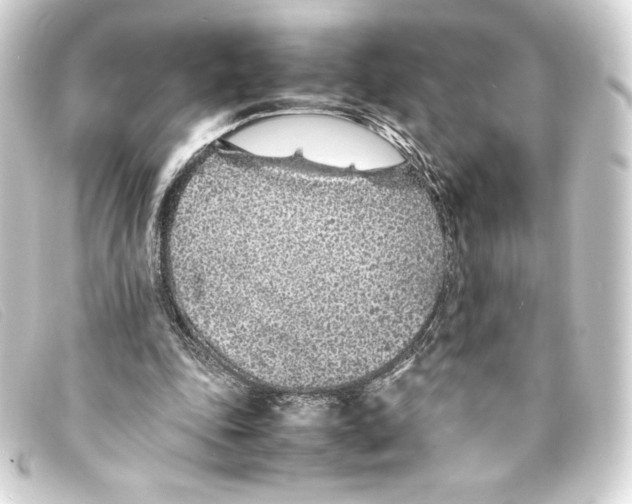 X0000093160343200710241024