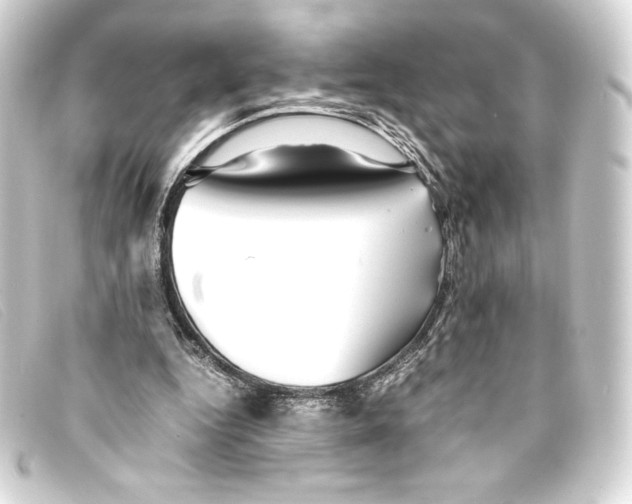 X0000093160344200710241024