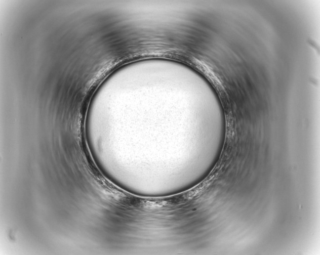 X0000093160346200710241024