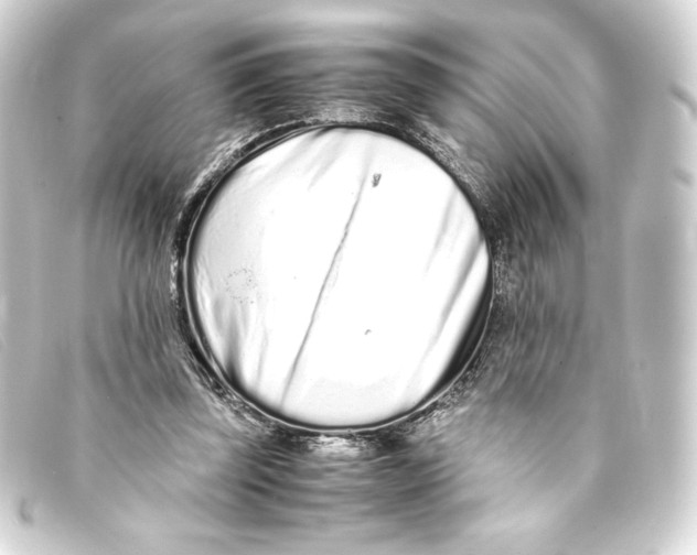 X0000093160347200710241024