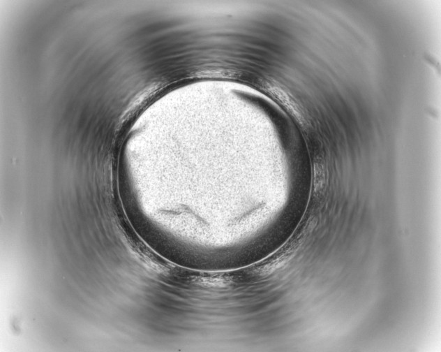 X0000093160349200710241024