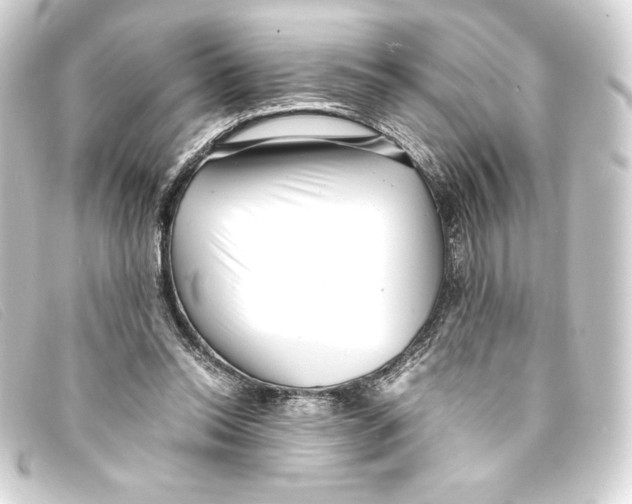 X0000093160350200710241024