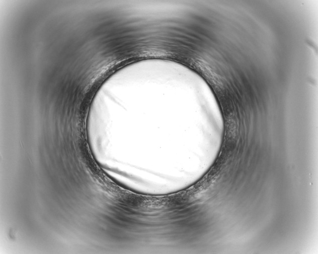 X0000093160351200710241024