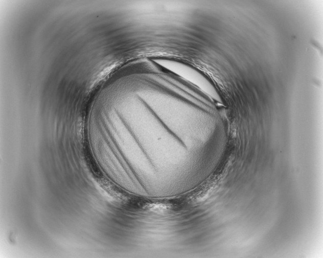 X0000093160352200710241024