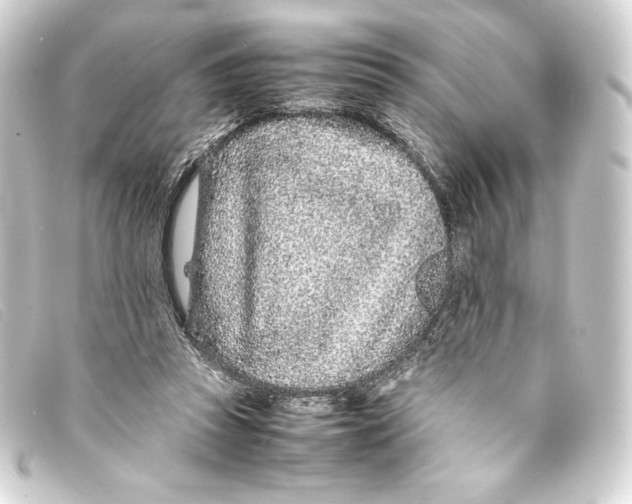X0000093160353200710241024