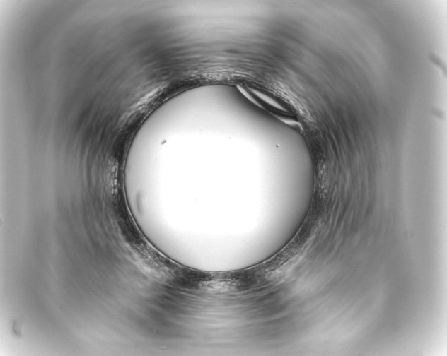 X0000093160356200710241024