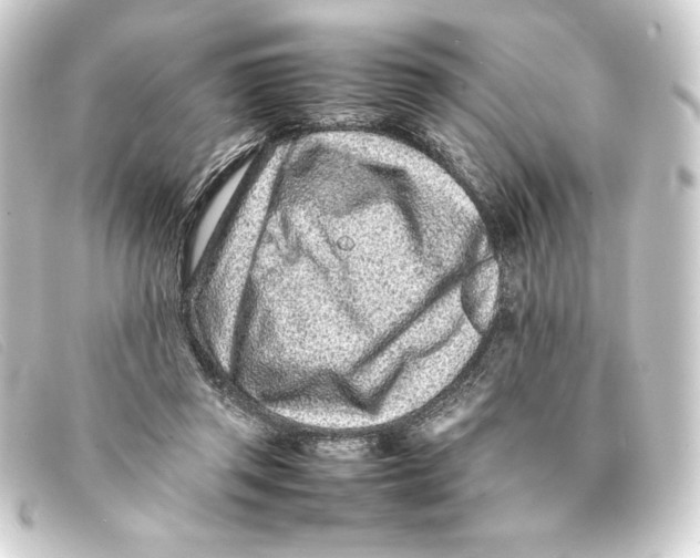 X0000093160357200710241024
