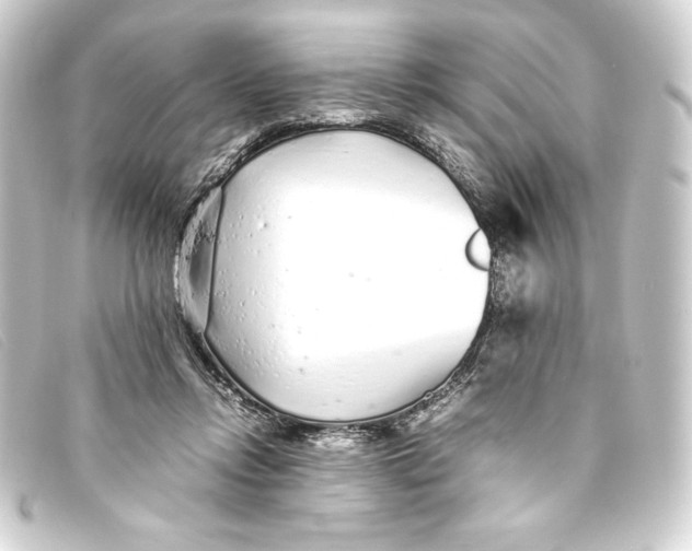 X0000093160358200710241024