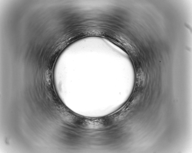 X0000093160359200710241024