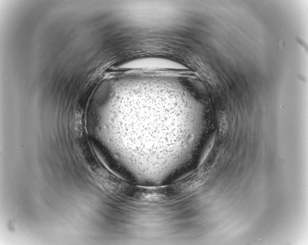 X0000093160360200710241024