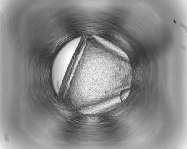 X0000093160361200710241024