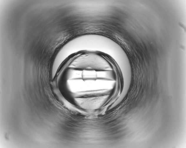 X0000093160362200710241024