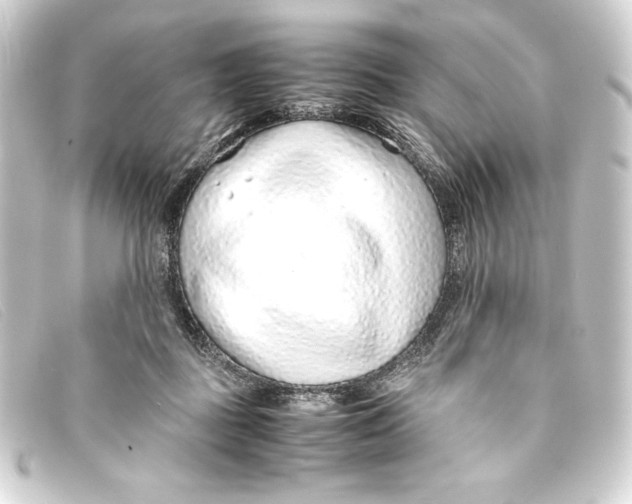 X0000093160363200710241024
