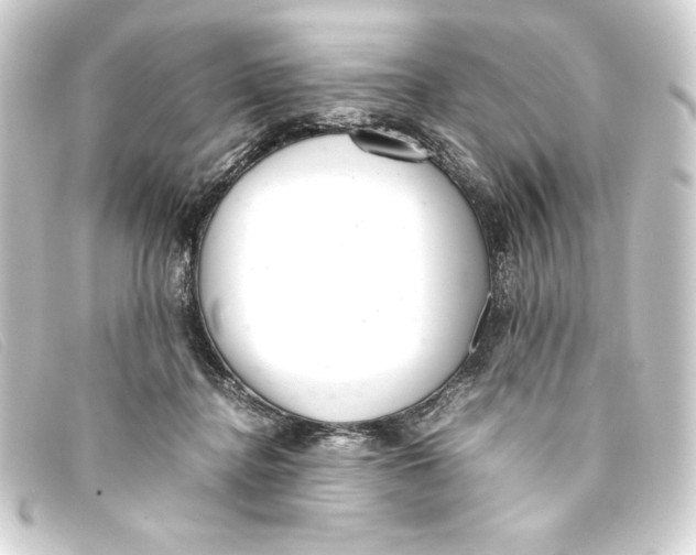 X0000093160364200710241024