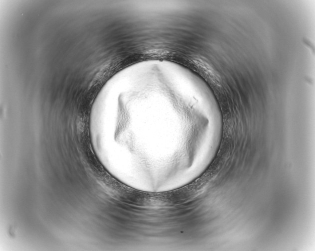 X0000093160365200710241024