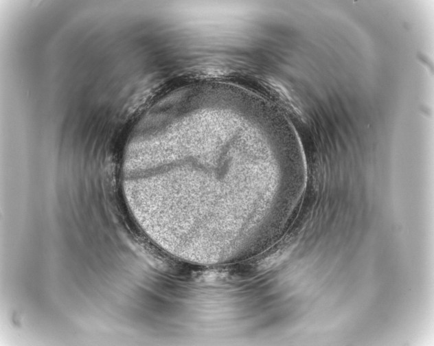 X0000093160366200710241024
