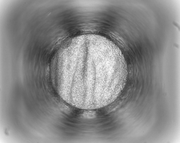 X0000093160369200710241024