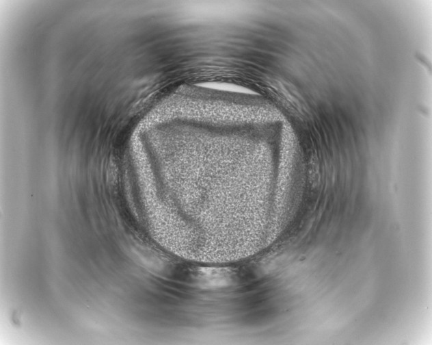 X0000093160371200710241024