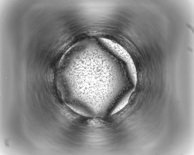 X0000093160372200710241024