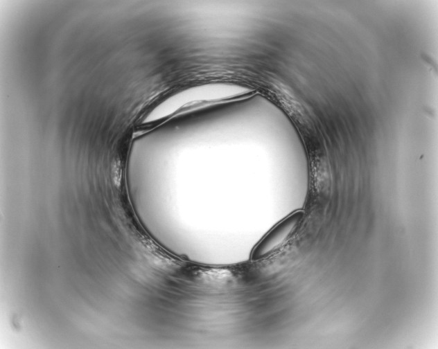 X0000093160374200710241024