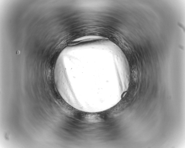 X0000093160375200710241024