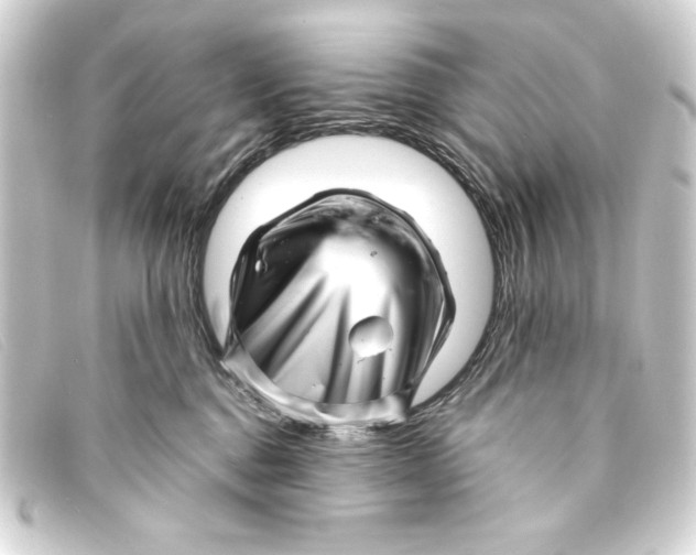 X0000093160376200710241024