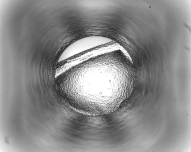 X0000093160377200710241025
