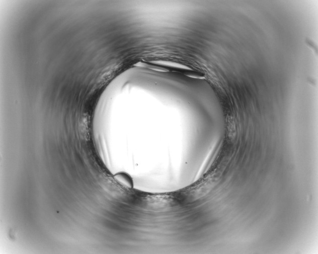 X0000093160378200710241025