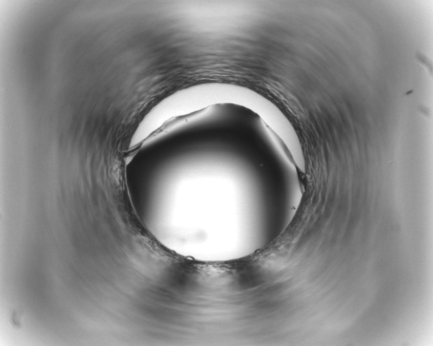 X0000093160380200710241025
