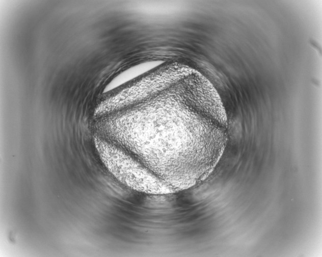 X0000093160381200710241025