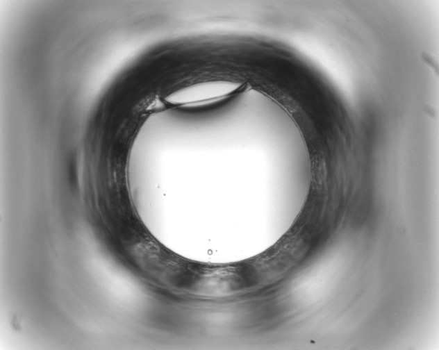 X0000093160382200710241025
