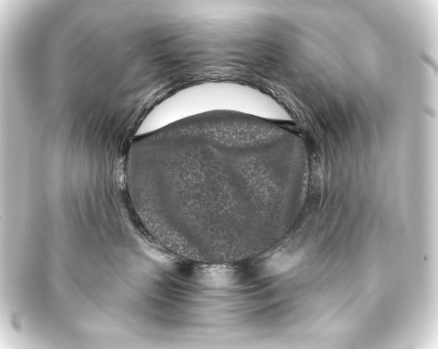 X0000093160383200710241025
