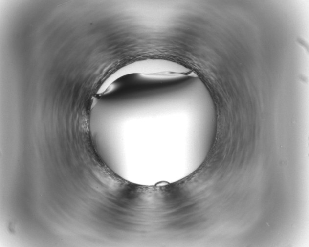 X0000093160384200710241025
