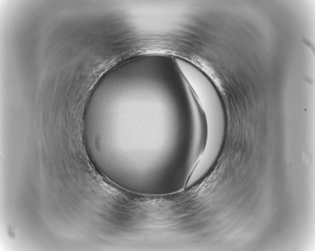 X0000093160385200710241024