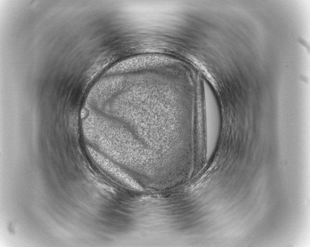 X0000093160386200710241024