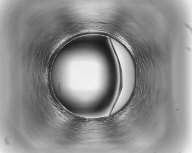 X0000093160387200710241024
