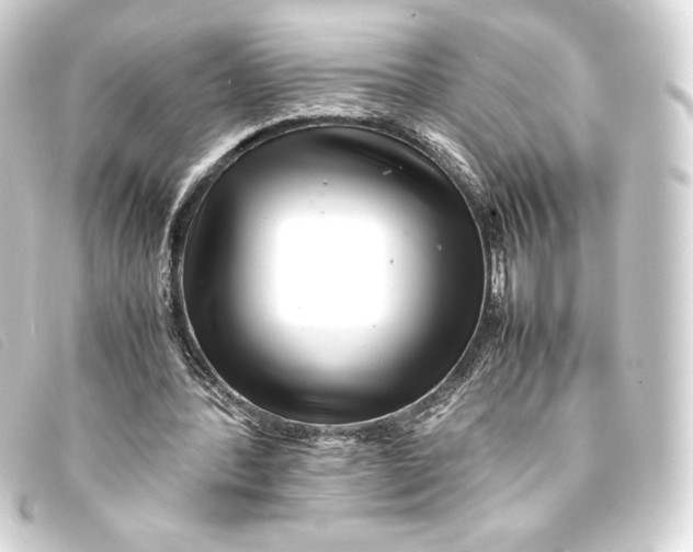 X0000093160388200710241024