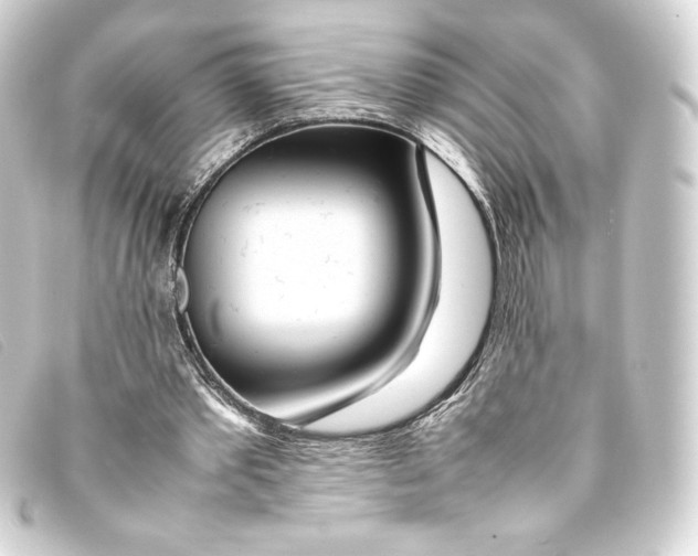 X0000093160389200710241024