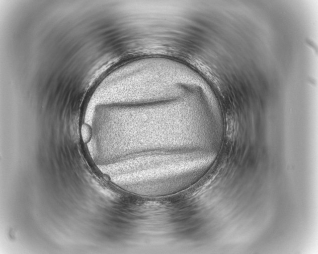 X0000093160390200710241024