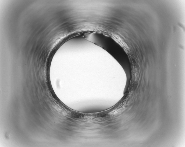 X0000093160391200710241024