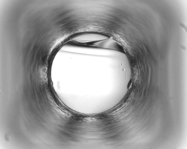 X0000093160392200710241024