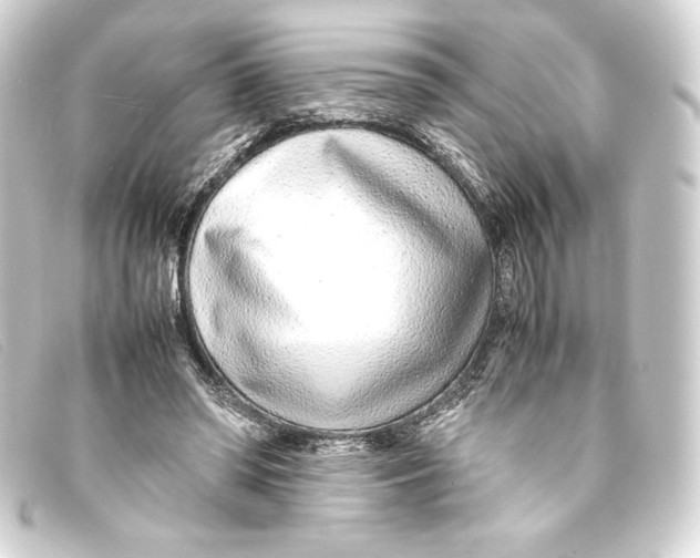 X0000093160398200710241024