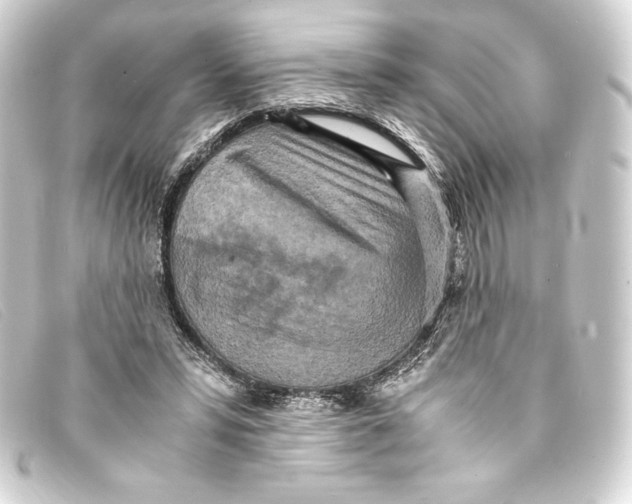 X0000093160399200710241024