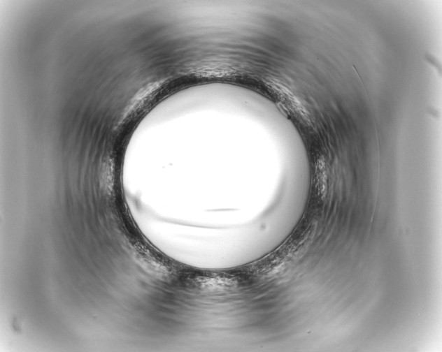 X0000093160400200710241024