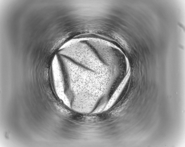 X0000093160401200710241024