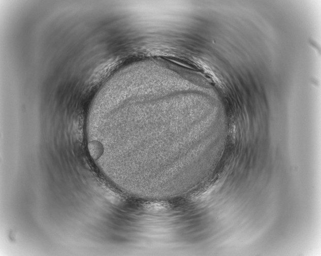X0000093160402200710241024