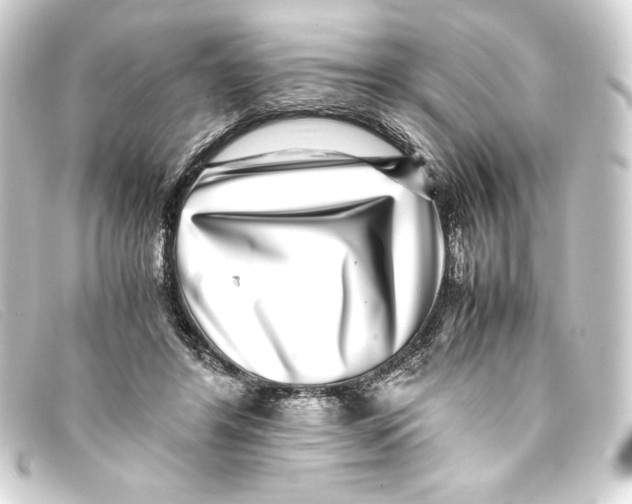 X0000093160404200710241024