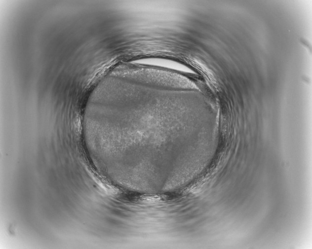 X0000093160405200710241024