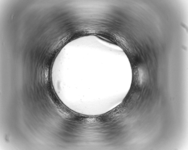 X0000093160406200710241024